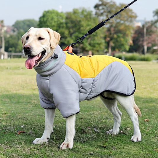 PawShield™ Waterproof Winter Dog Coat