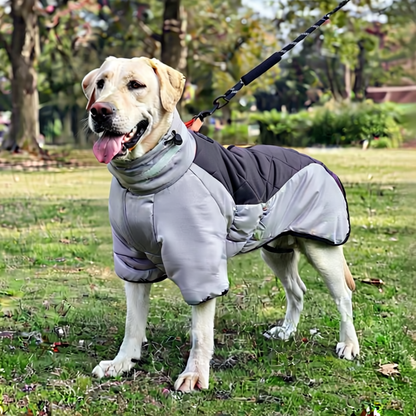 PawShield™ Waterproof Winter Dog Coat