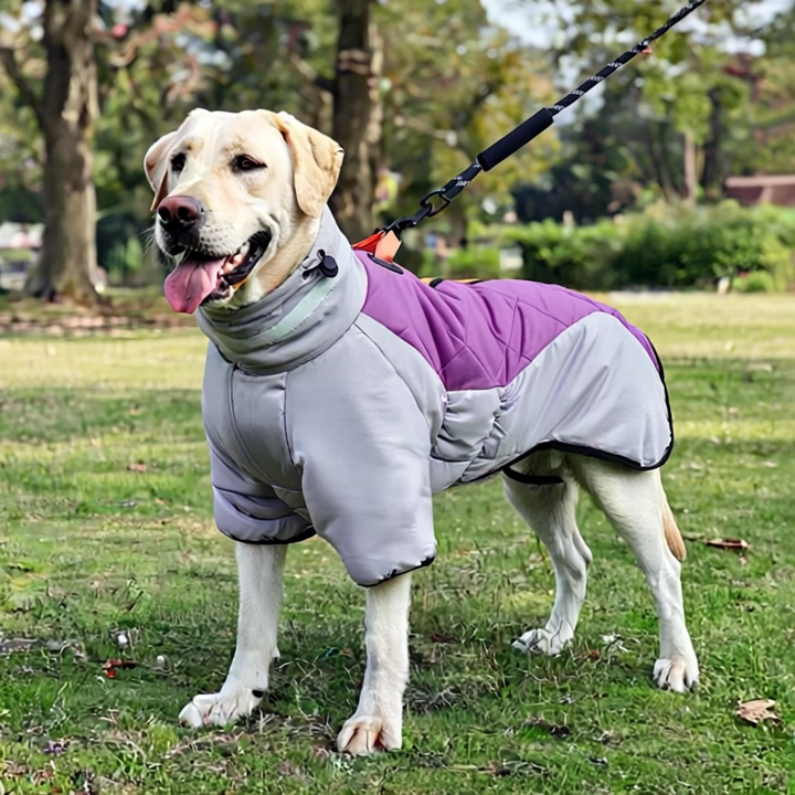 PawShield™ Waterproof Winter Dog Coat